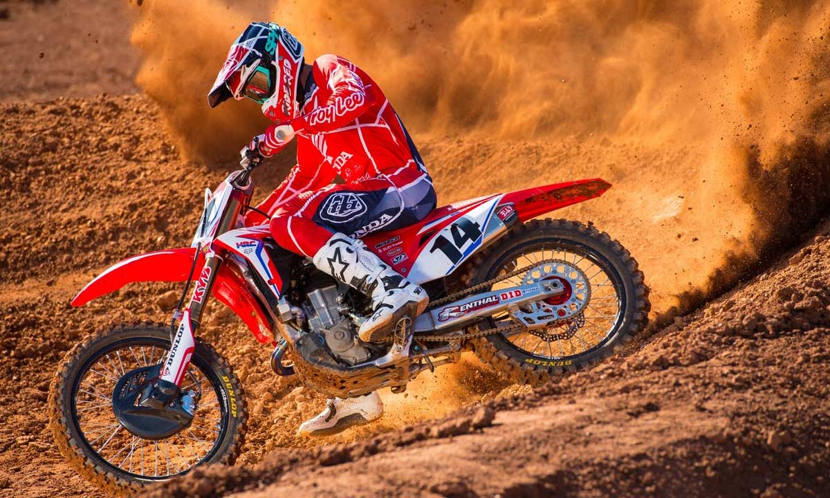 Cole Seely TLD