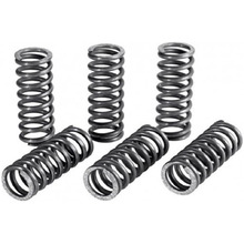 Newfren Suzuki DRZ250 01-20 Clutch Spring Kit