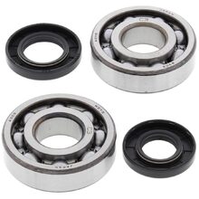 All Balls Kawasaki KX250 80-86 KDX250 82-84 Main Bearing & Seal Kit