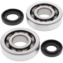 All Balls Kawasaki KX250 02-08 Main Bearing and Seal Kit