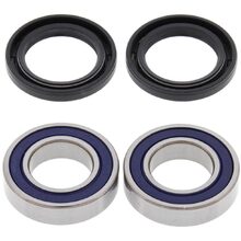 All Balls Kawasaki/Suzuki Front Wheel Bearing & Seal Kit