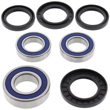 All Balls Suzuki DL1000 V-Strom 14-25 Rear Wheel Bearing Kit