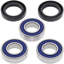 All Balls Honda CRF150R 07-25 Rear Wheel Bearing & Seal Kit