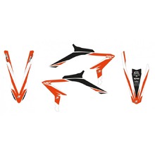 Blackbird Racing Beta RR 23-24 Dream 4 Graphics Kit