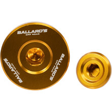 Ballards Suzuki RMZ250 07-27 RMZ450 05-27 Gold Engine Plug Kit