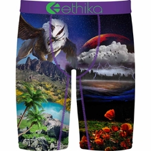 Ethika Boys Staple The Fight