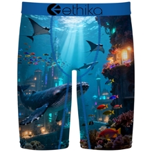 Ethika Boys Staple Wadaworld