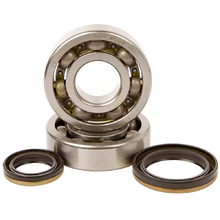 Hot Rods Suzuki RM250 96-02 Main Bearing & Seal Kit