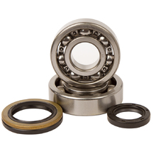 Hot Rods Suzuki RMX250 89-94 Main Bearing & Seal Kit