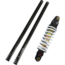 MiniRacer Kawsaki KLX110 80kg & Under Satellite Series Suspension Kit
