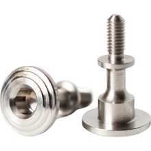 Ozminis Honda CRF110F 12-27 Silver Cam Cover Bolts