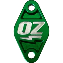 Ozminis Kawasaki KLX110/L 02-25 Green Billet Bump Start Cover
