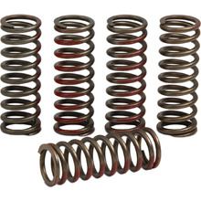Pro Circuit Honda CRF250R 18-27 Clutch Springs