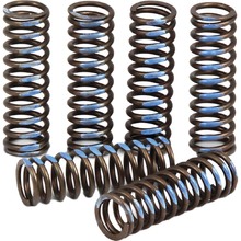 Pro Circuit Yamaha YZ450F 10-22 Clutch Springs