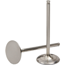 Pro Circuit Honda CRF250R 18-22 Titanium Intake Valves