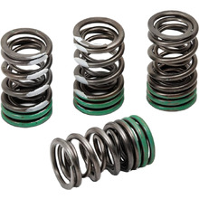 Pro Circuit Kawasaki KX450F 19-23 Valve Springs
