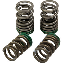 Pro Circuit Kawasaki KX250F 20-24 Valve Springs