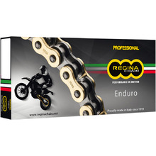 Regina Chain 520 ZRE Adventure Series 120L Gold Chain