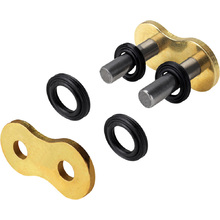 Regina Chain 525 ZRP Type 19 Chain Link