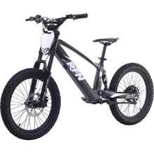 RFN EVO Racing 20" Black Electric Bike